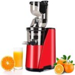 DENX Slow Juicer