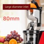 DENX Slow Juicer - Image 5